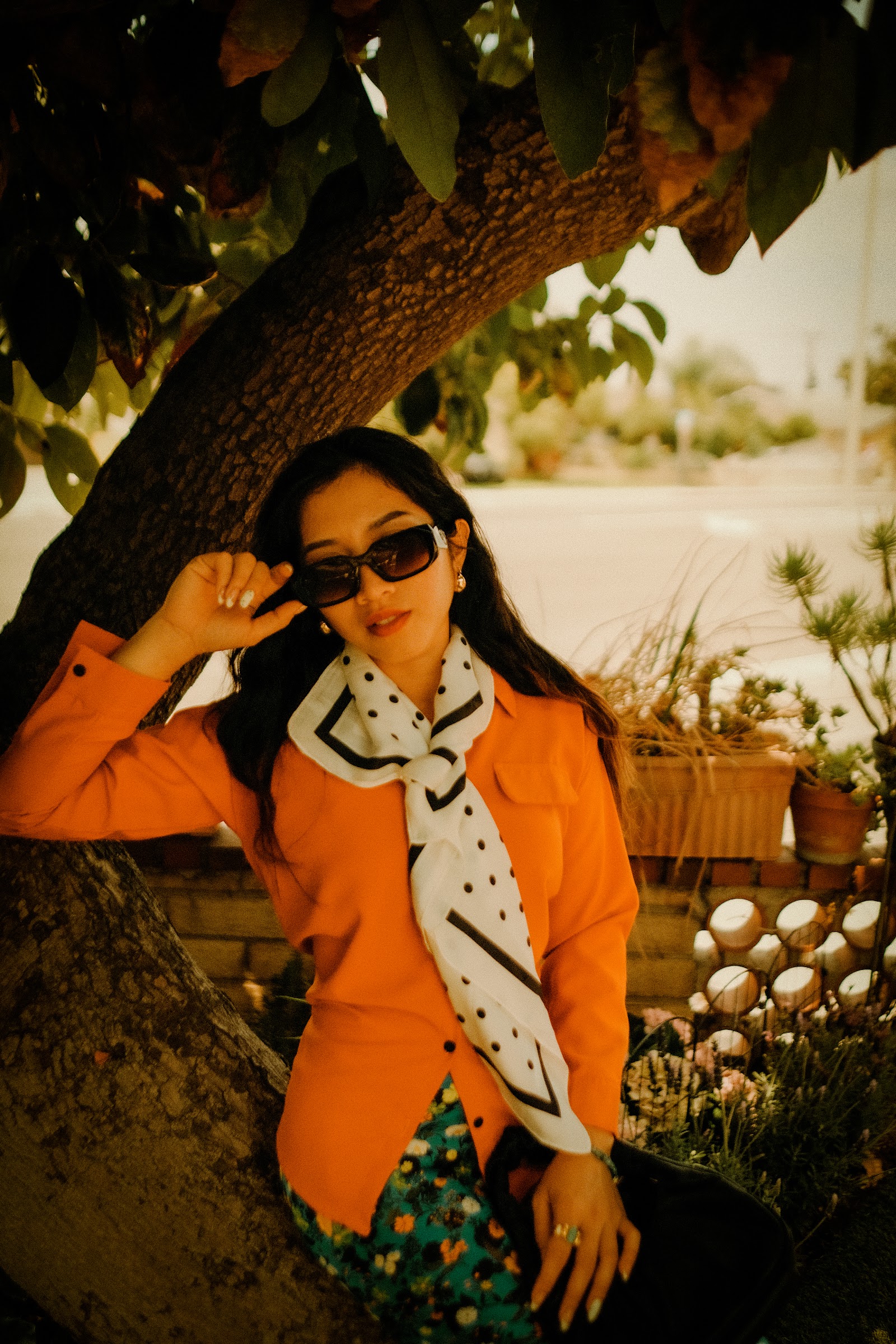 thumbnail-album
